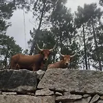 아파트 Casa Do Corgo