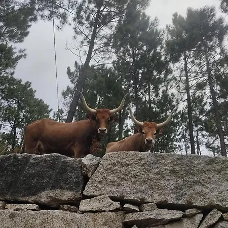 Διαμέρισμα Casa Do Corgo